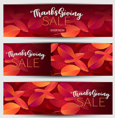 Thanksgiving sale set of banners or website headers. Realistic vector illustration with red and orange autumn leaves. USA national holiday.