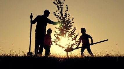A happy family of farmers. Silhouette of a father and two children planting and watering a tree in the Park at sunset. - Powered by Adobe