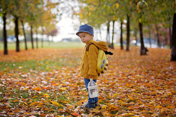 Beautiful fashion toddler boy, walking in park with lantern in hand and backpack