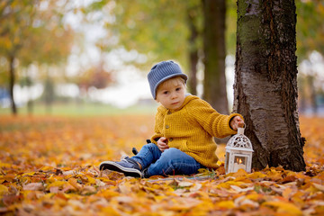 Beautiful fashion toddler boy, sitting in park with lantern in hand and backpack