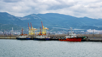Sea trade port, with many ships at the berths, panorama