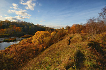 Fototapeta na wymiar Tosna river in the Leningrad region