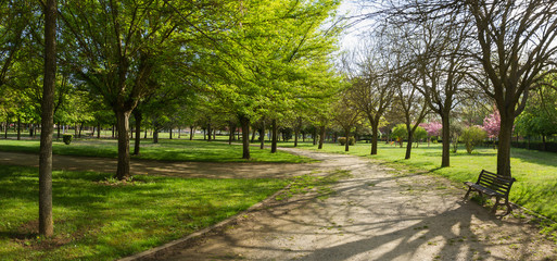 Public Park in Spring