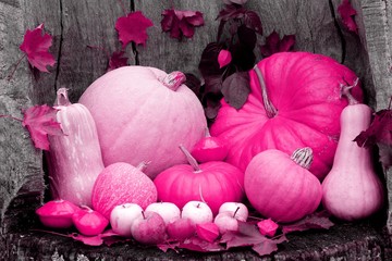 Pink pumpkin mix with white autumn apples on a wooden background. Halloween illustration