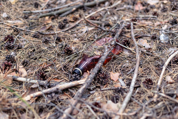 Brown plastic bottle on the ground in a pine forest.