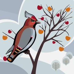 waxwing bird winter tree apples Vector illustration.