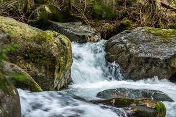 Forest stream running over mossy rocks. Beautiful landscape.Country Slovakia