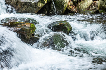 Fototapeta premium Forest stream running over mossy rocks. Beautiful landscape.Country Slovakia