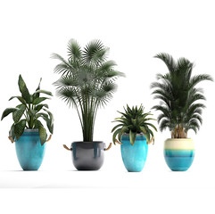 Obraz premium tropical plants on white background