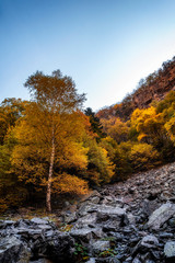 Autumn mountain colors of Old River ( Stara reka ) , located at Central Balkan national park in...