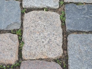 Kopftseinpflaster mit Fugenbewuchs in hell und dunkelgrauem Granit