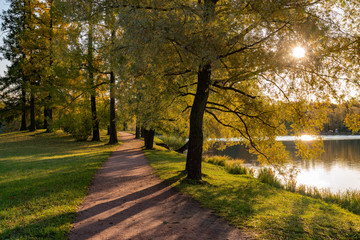 Fototapeta na wymiar Golden autumn in Catherine Park, Pushkin, St. Petersburg, Russia.