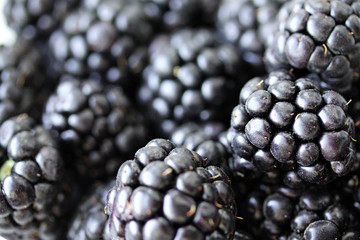 Background with fresh blackberry closeup. Blackberry macro photography with copy space. Healthy organic berries of black color. Template for banner, menu, food label, organic shop, garden harvesting