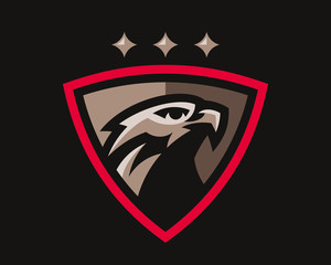  Eagle modern logo. Eagle design emblem template for a sport and eSport team.