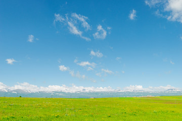 Landscape of Armenia in June, view of the snow-capped mountains and green field
