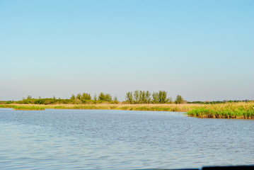 South African Landscape