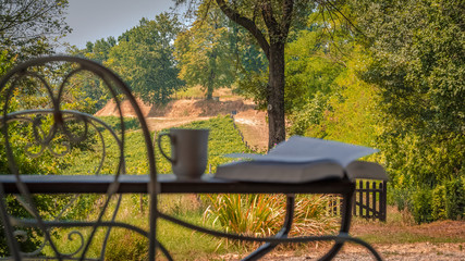 Atmospheric scene with the morning coffee and open book on the table in vineyards. Blurred foreground