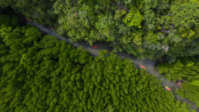 Aerial view of Ao Tha Lane near Krabi, Ao Tha Lane famous place for kayak on the river with mountain and mangrove forest, Krabi, Thailand.