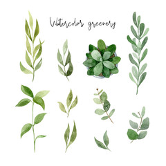 Watercolor greenery isolated on white background. Collection of green leaves. Hand drawn illustration. Decorative elements in simple style.