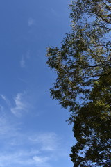 Sky Abstraction-137