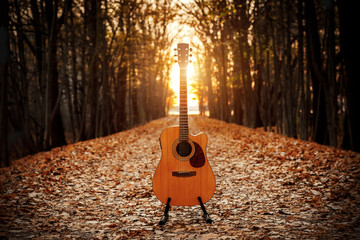 Acoustic guitar in the autumn forest.