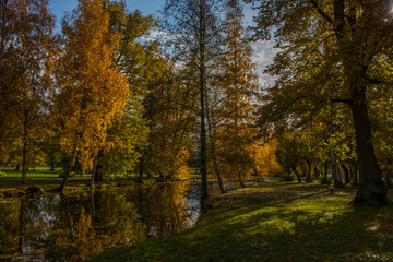 Fototapeta premium Autumn view at a park on the Drottningholm island in Stockholm with ponds and colour full trees