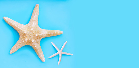 Fototapeta na wymiar Two starfish on blue background. Top view with copy space