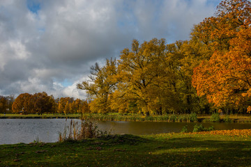Obraz premium Autumn view at a park on the Drottningholm island in Stockholm with ponds and colour full trees