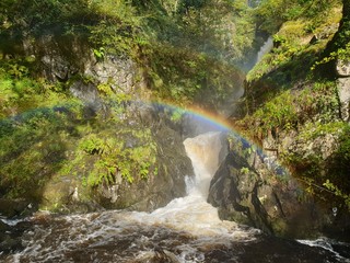 waterfall rainbow in forest