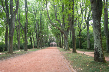 path in the park