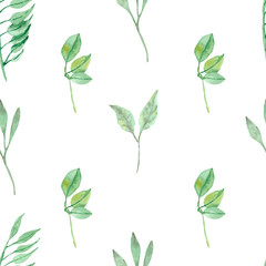 Watercolor hand painted nature seamless pattern with green eucalyptus tropical leaves and branches isolated on the white background, trendy print for summer vibes design elements and textile