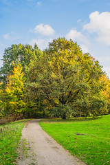 Fototapeta premium arnhem city