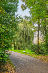 Fototapeta premium arnhem city