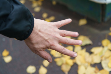 Male hand on blurred background of yellow birch leaves lying on the pavement. Concepts of the negation of wilting, aging and the approaching winter.