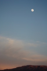 The colors of spring, in Eastern Crete, Mediterranean sea