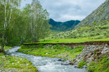 Fototapeta na wymiar Mountain river in green valley. Wild nature landscape.