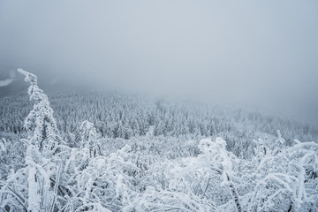 Liberec Region is an administrative unit of the Czech Republic, located in the northernmost part of...