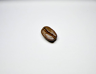 coffee beans on a white background