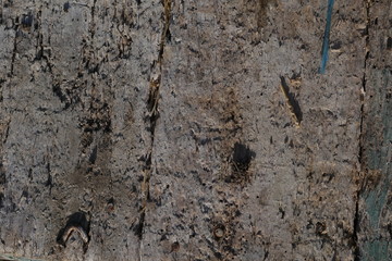 wood texture, closeup
