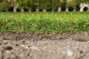 Layers of grass and soil