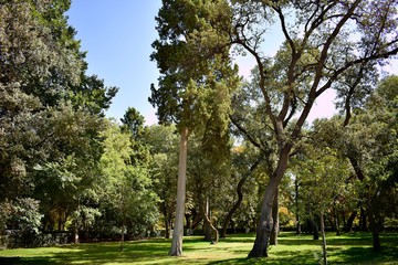garden of the Retiro Park in Madrid. Spain. Europe. September 18, 2019
