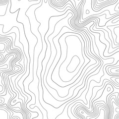 Topographic map background. Grid map. Abstract vector illustration.