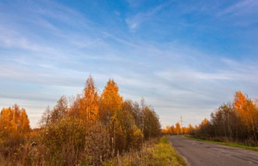Fototapeta premium Suburban road goes into the distance at sunset