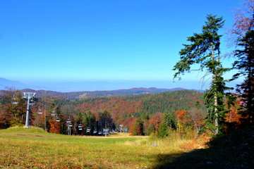 Typical landscape in the forests of Transylvania, Romania. Green landscape in autumn, in a sunny day