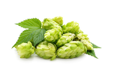 Green flower hop.