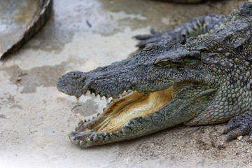  KAW THAUNG/MYANMAR - 5th Aung, 2019 : Kaw Thaung Island is a beautiful island of Myanmar.