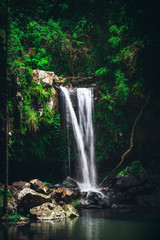 Fototapeta na wymiar Scenic Curtis Falls in Tamborine National Park, Queensland, Australia