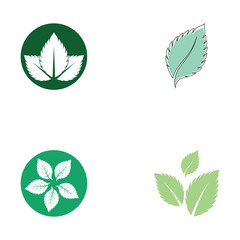 set of mint leaves flat vector color icon