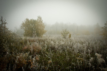 Obraz na płótnie Canvas landscape on a foggy frosty day, the first frost