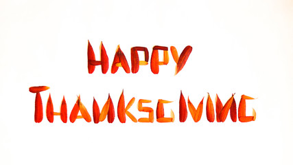 Happy Thanksgiving text on a white background with autumn leaves